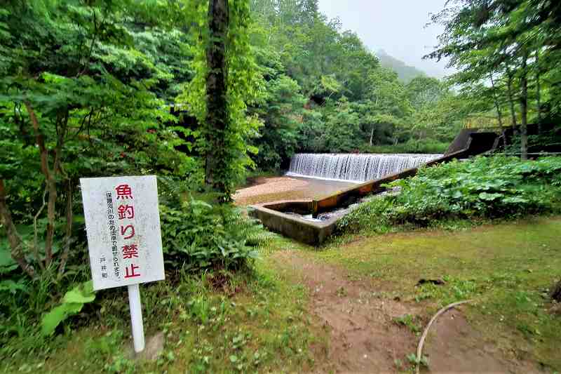 戸井ウォーターパークキャンプ場の川