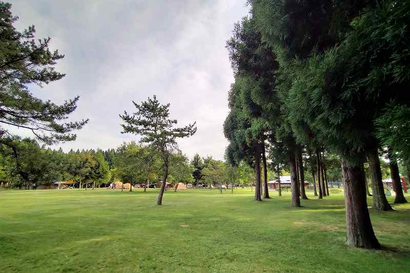 白石公園はこだてオートキャンプ場