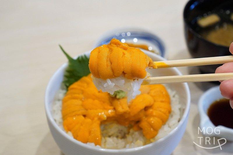 「うにむらかみ」無添加生うに丼