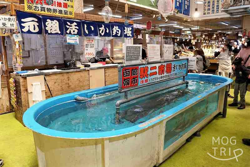 「函館朝市」活いか釣り堀