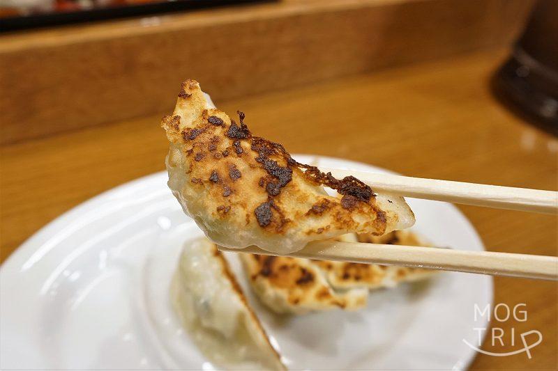 麺屋いなせ　ぎょうざを箸で持ち上げた様子