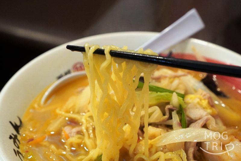 「函館麺屋ゆうみん」函館ちゃんぽん麺の麺