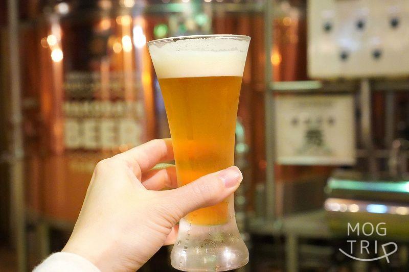 函館「ビアバー・ビアホール」はこだてビール 飲み比べセット