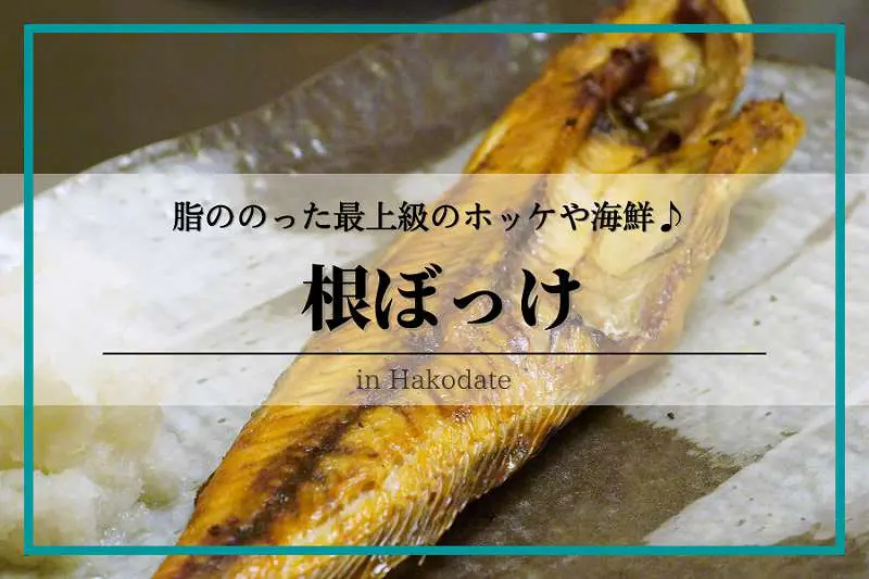 函館「根ぼっけ」根ぼっけ刺身発祥の居酒屋！おすすめメニュー・予約方法も